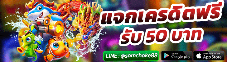 ผู้สนับสนุน