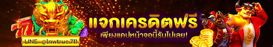 ผู้สนับสนุน