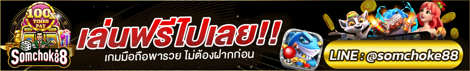 ผู้สนับสนุน