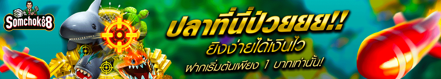 ผู้สนับสนุน